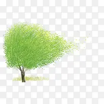 绿树插画