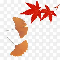 两款秋色枫叶图案
