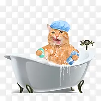 浴缸中泡澡的猫咪