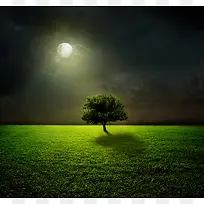 草原树木月亮风景