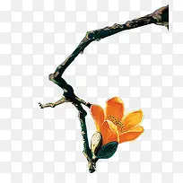 水墨木兰花