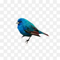 蓝色鸟不规则图形