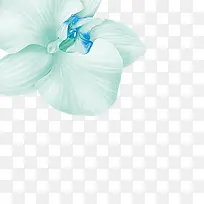 素雅花朵