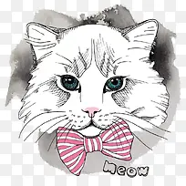 蝴蝶结猫咪