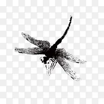 黑色水墨蜻蜓