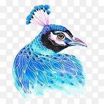 创意蓝色的鸟插画设计