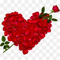 红色鲜花玫瑰花瓣设计爱心