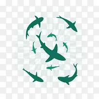 绿色扁平大海鲨鱼群