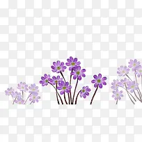 唯美的紫色小花