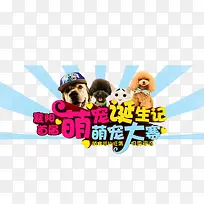 萌宠大赛海报