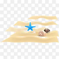 沙滩海螺海星矢量图