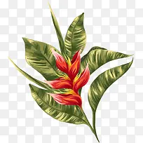 火树银花