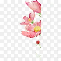 粉色粗糙手绘花朵