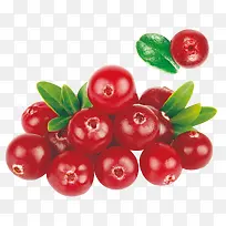 红色新鲜水果蔓越莓果