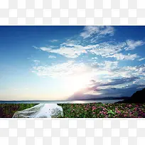 清新蓝天白云花海