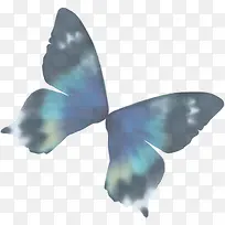 创意合成水彩五彩飞舞的蝴蝶