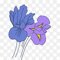 紫色矢量扁平风格鸢尾花