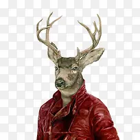 手绘穿着红色皮夹克的鹿