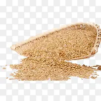燕麦米图片