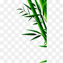 绿色竹叶竹子端午节