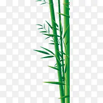 端午节绿色竹子竹叶装饰