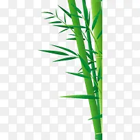 绿色竹子竹叶端午节