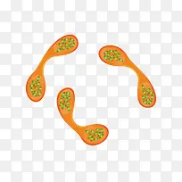 研究微生物