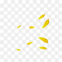 花草元素 效果元素 花瓣 黄色