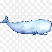 手绘海洋大型动物抹香鲸