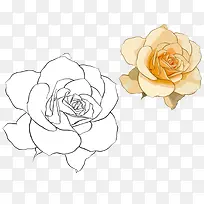 两朵白玫瑰