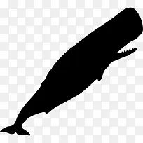 抹香鲸的剪影图标