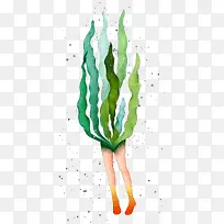 彩绘水草植物图案