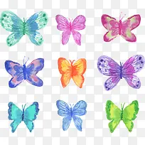 9款水彩绘蝴蝶设计矢量素材