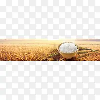 稻米背景banner