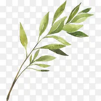 绿色手绘树叶植物
