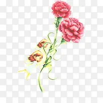 感恩康乃馨花朵植物花仙子手绘