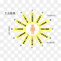 十二经络