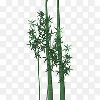 绿色的竹竿