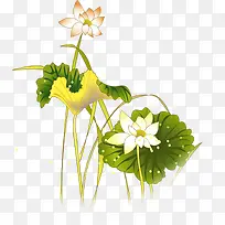花瓣