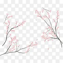 日本樱花节樱花树枝