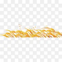 金色的稻子