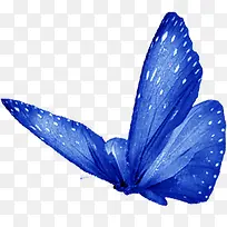 手绘蓝色斑点墙壁装饰蝴蝶