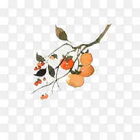 水果橙子古风绘画