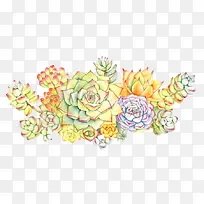 彩色多肉花束