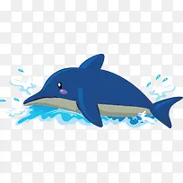 夏季海洋蓝色海豚