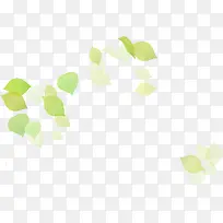 清新漂浮绿色夏季透明树叶