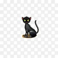 夜晚黑色猫咪