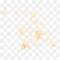 食物果实不规则漂浮