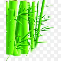 绿色艺术竹子风光