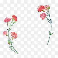 母亲节手绘插图康乃馨花卉边框